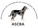 Association de Sauvegarde du Chien Berger d’Auvergne (ASCBA)