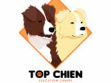 Top Chien