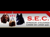 Syndicat d’Élevage Canin de Liège (SEC)