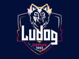 Ludog 