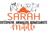 Sarah Motelle Ostéopathe Animalier OA 464