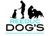 Reeducdog's