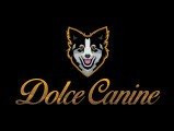 Dolce Canine
