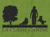 La Classe Canine
