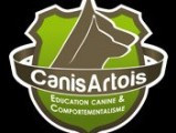 Canis Artois