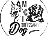 MCI Obeissance Dog