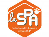 Refuge SPA d'Aix-en-Provence / des chiens en liberté