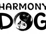 Harmony Dog - Mantrailing Addict