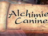Alchimie Canine
