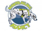 Harmony Dog - Mantrailing Addict