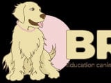 Brav'os Education Canine