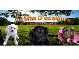 M./Mme&nbsp;
