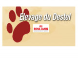 Élevage du Destel