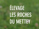 Des Roches Du Mettey
