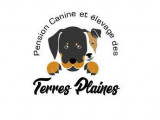 Des Terres Plaines