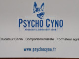 Psycho Cyno