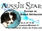 Élevage de chiens en Eure-et-Loir : annuaire des élevages
