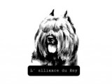 De l'Alliance du Roy
