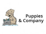 Puppies & Company