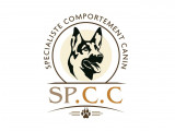 Sp.c.c
