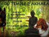 Le Temple d'Akhara