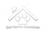 Élevage de chiens dans lu0027Hérault : annuaire des élevages