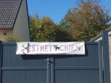 Esthety chien