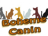 Bohème canin