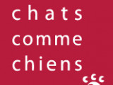 Chats comme chiens
