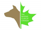 Basenji Club Of Canada