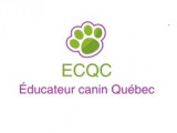 Éducateur canin Québec
