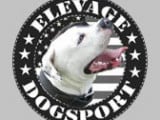 Dogsport Kennel élevage et pension canine