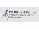 Patrice De Bruyn