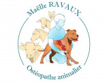 Maëlle Ravaux - ostéopathe animalier