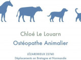 Chloé Le Louarn