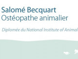 Salomé Becquart ostéopathe animalier