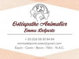 Ostéopathe animalier Emma Delporte