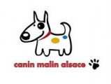 Canin Malin Alsace