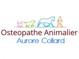 Aurore Collard ostéopathe animalier