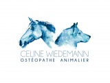 Céline Wiedemann ostéopathe animalier