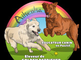 Aikenka Educanion canine