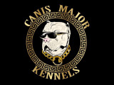 Canis Major Kennels