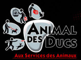 Animal Des Ducs