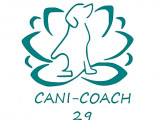 Cani-coach 29