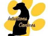 Intuitions Canines