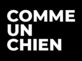 CommeUnChien