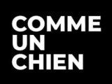 CommeUnChien