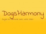 Dog's harmony