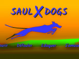 Saulxdogs
