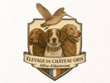 Du château gris